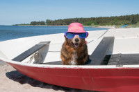 Des protections contre la chaleur et le soleil