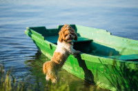 La législation relative au lieu de débarquement