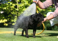 La conduite à tenir après la navigation