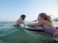 Les autres accessoires utiles