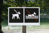 La réglementation en Suisse