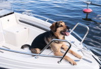 Prévenir les blessures et accidents