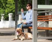 Un maitre aveugle sur un banc aux côtés de son chien 