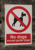 Une interdiction d'entrée pour chiens qui ne serve pas de guide