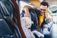 Un homme dans un bus caressant un petit chien blanc