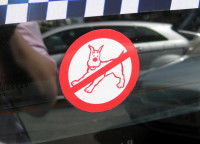 Un taxi avec un autocollant interdiction aux chiens