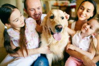 Pour le chien