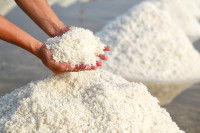 Des mains tenant du sel au-dessus d'un gros tas de sel