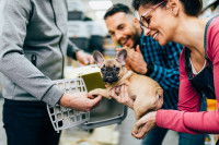 Un couple achète un Bouledogue Français dans une animalerie