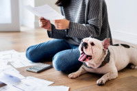 Une femme et un Bouledogue Français devant des papiers et une calculatrice