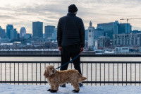 Un homme et son chien admirant Montréal, au Canada