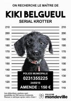 Une affiche de campagne de la ville de Mondeville contre les déjections canines