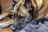 Que faire si vous n’avez pas le temps de vous déplacer ?