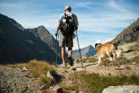 Un homme et son chien font une randonnée en montagne