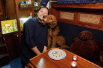 Un Airedale Terrier assis près d'une femme