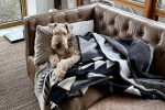 Un Airedale Terrier allongé sur un canapé