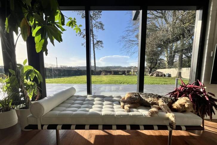 Un Airedale Terrier allongé sur un lit