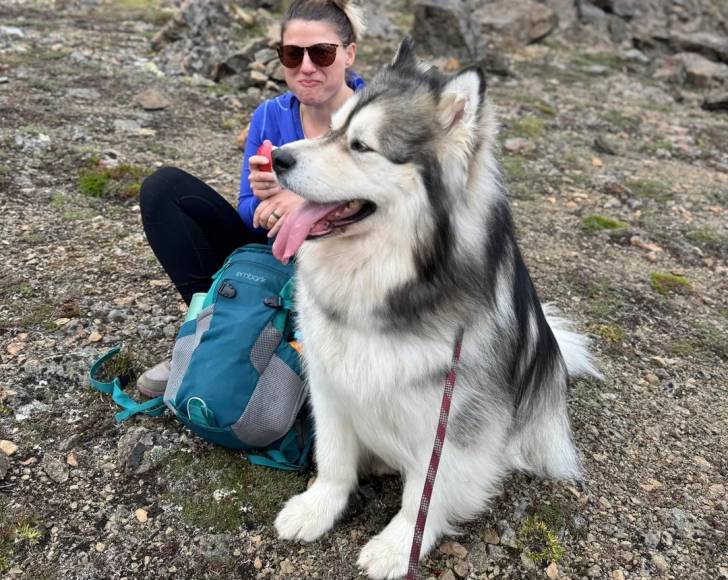 Un Malamute d'Alaska assis sur des gravillons à côté d'une femme et tenu en laisse