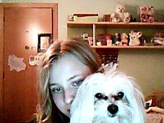 poni - Bichon Maltais Mâle (4 ans)