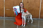 Un Whippet à côté d'une femme