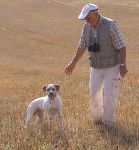 Photo Braque du Bourbonnais