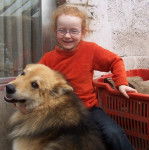 Lucky - Berger Allemand M&acirc;le (6 ans)