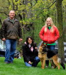 Brus - Berger Allemand Mâle (11 mois)