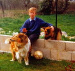 BERGER ALLEMAND ET COLLEY - Berger Allemand