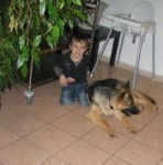 dark - Berger Allemand M&acirc;le (4 ans)