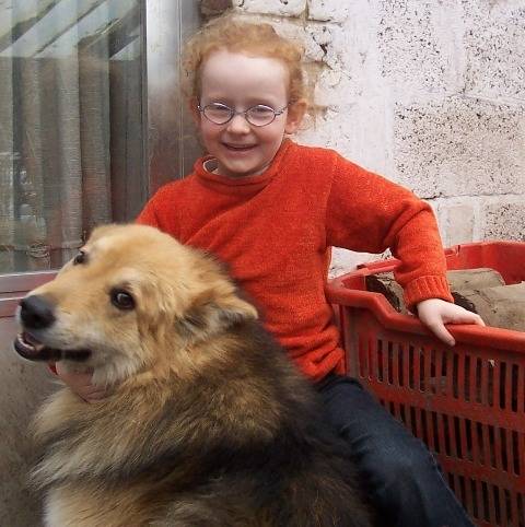 Lucky - Berger Allemand Mâle (6 ans)