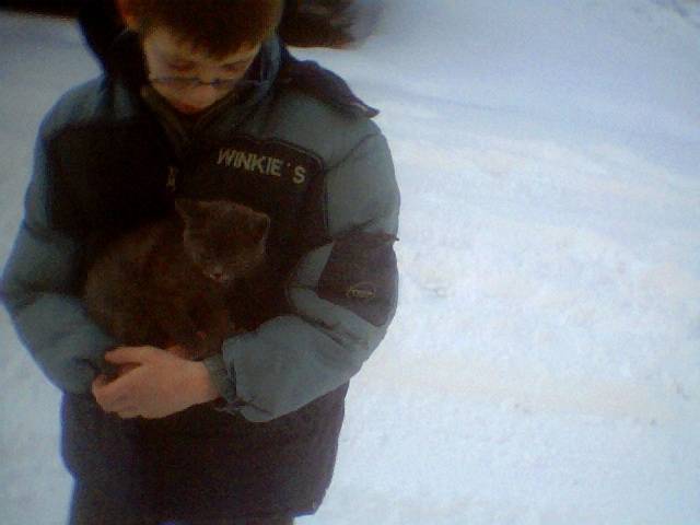 ale - Berger Allemand (1 mois)