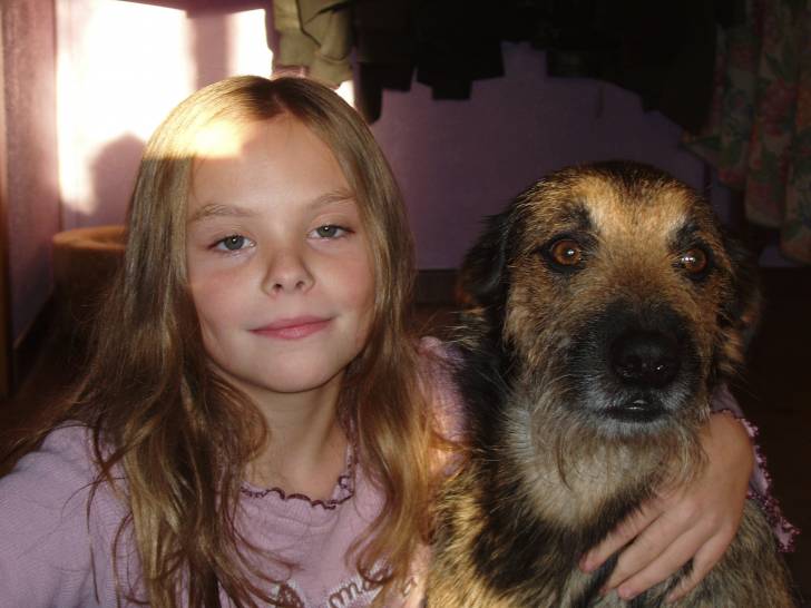 voyou - Berger Allemand Mâle (5 ans)