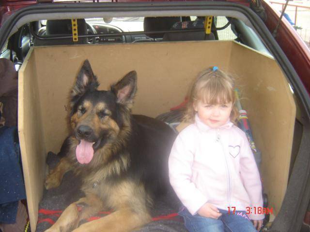 berger allemand tarot - Berger Allemand
