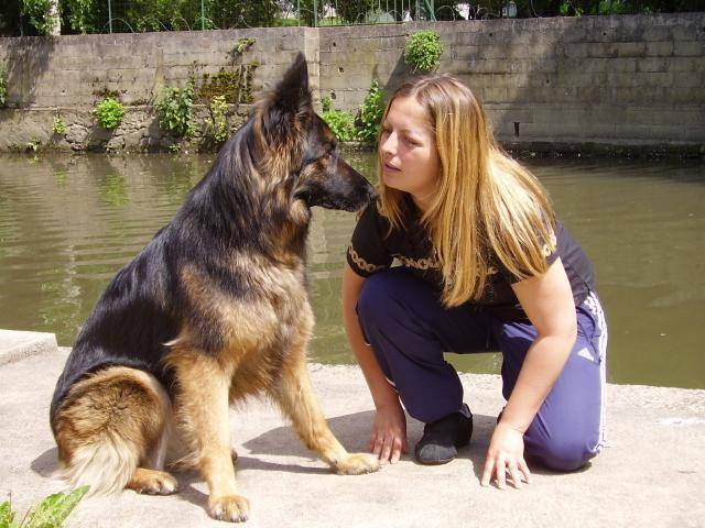 PEPSI / Berger allemand - Berger Allemand