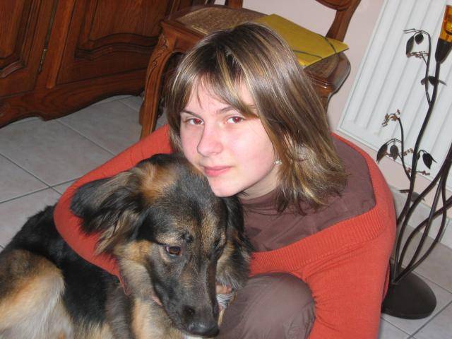 BERGER ALLEMAND ~~~ SHEYENNE - Berger Allemand
