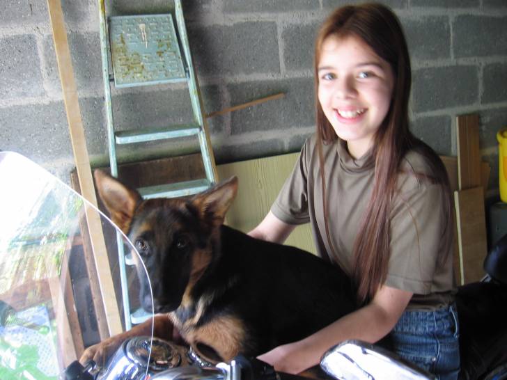 Beauty & Moi - Berger Allemand (5 mois)