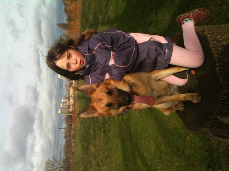 lexi - Berger Allemand (1 an)