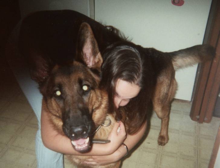 nero - Berger Allemand Mâle (9 ans)