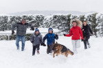 Un Berger Allemand jouant avec une famille dans la neige