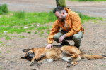 Un Berger Allemand jouant avec un homme semblant joyeux