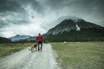 Un Berger Allemand marchant aux côtés d'une personne sur un chemin de gravier dans les Alpes suisses.