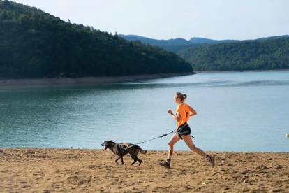 Un Berger allemand faisant la course avec sa maîtresse 