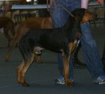 Photo Bruno Saint-Hubert Français