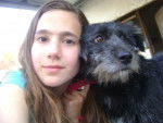 Winylu Y Yo - Cairn Terrier (1 an)