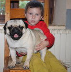 Sweety - Carlin (1 an)