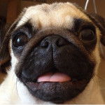 Ellie - Carlin (7 ans)