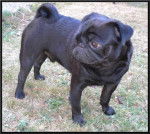 carlin Byron - Carlin