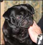 carlin Byron - Carlin