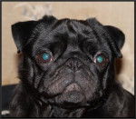 carlin Byron - Carlin