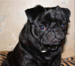 carlin Byron - Carlin